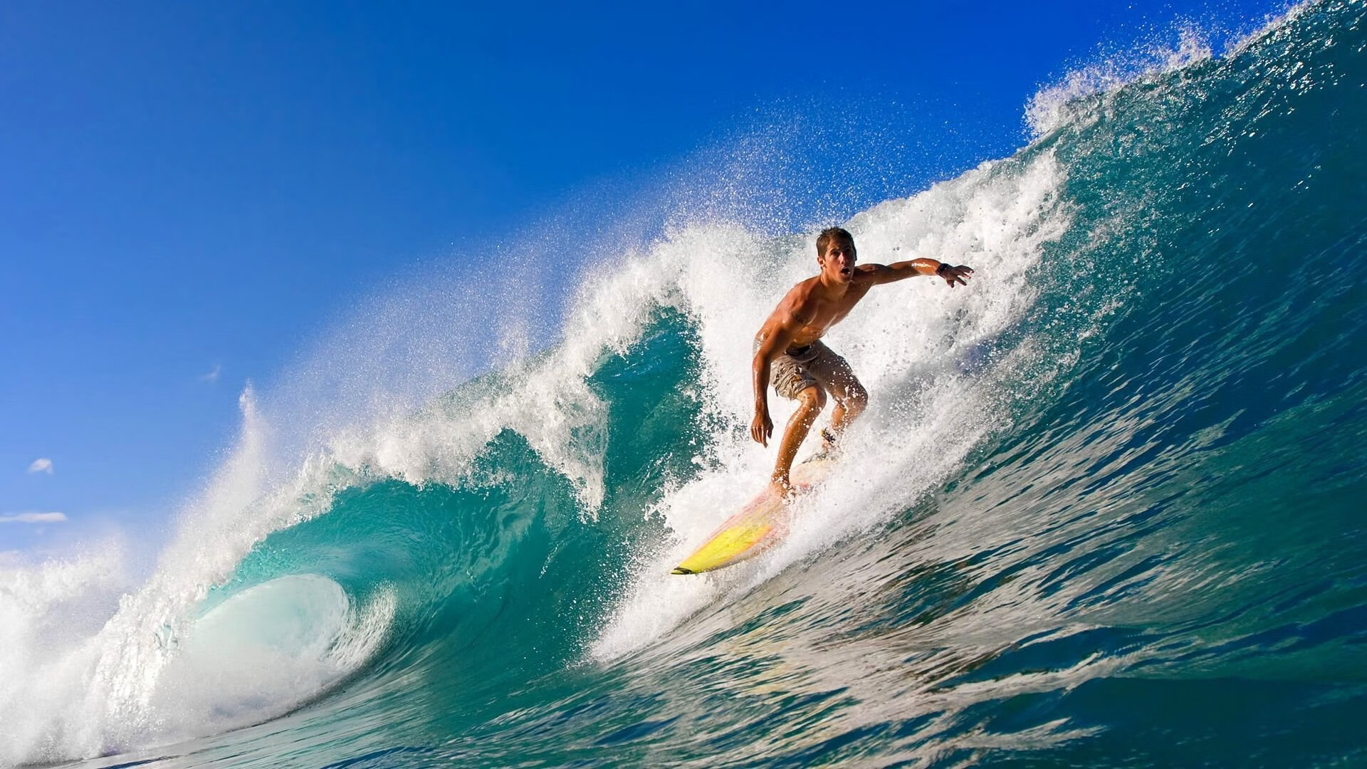 “夺冠时刻：感人瞬间一览无遗”，夺冠令人感动的瞬间