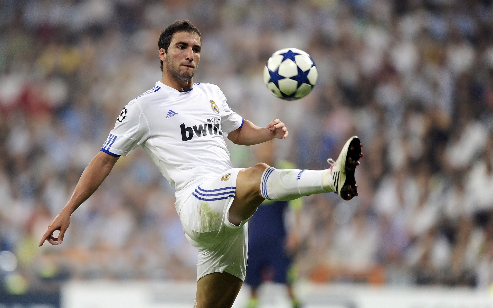 土耳其队意外失利！欧洲杯预选赛波折不断！，欧洲杯巡礼土耳其