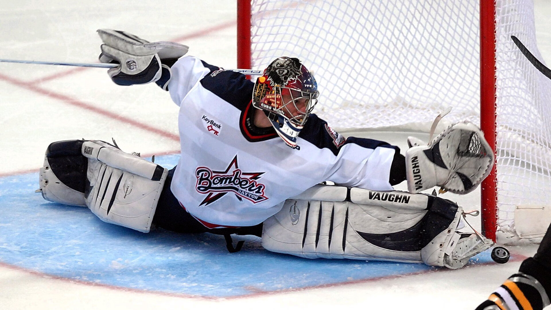 美洲篮球联赛观众人数创新高,美洲篮球杯2022预选赛